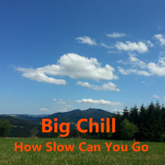 Scheibosan @ Gomde Summerparty - Big Chill (How Slow Can U Go)