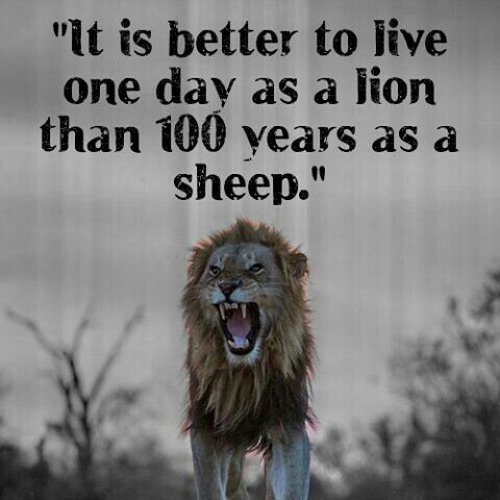 [A.P] Struggle & Strive (Ft. King Tone)