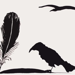 ErdogAn Emir.Tew Veyvike.