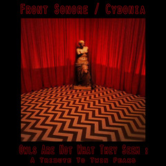 Front Sonore - We Live Inside a Dream !