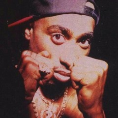 Tupac - Let Them Thangs Go (Original Version)