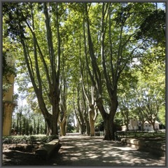 2014-08-14 Château d'Avignon en Camargue - Ambience 'Le domaine des murmures # 1'