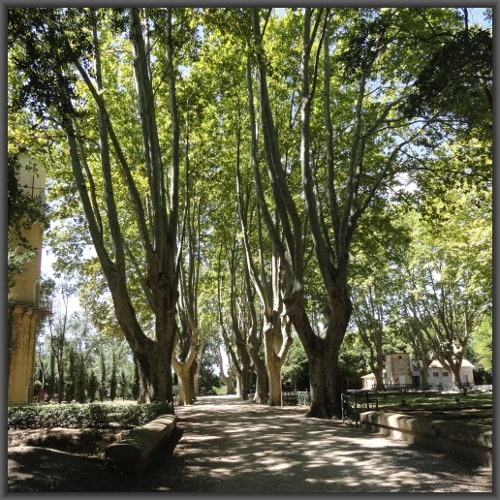 2014-08-14 Château d'Avignon en Camargue - Ambience 'Le domaine des murmures # 1'