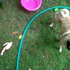 Danger in the playground