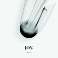 Joy. About&#x20;Us Artwork