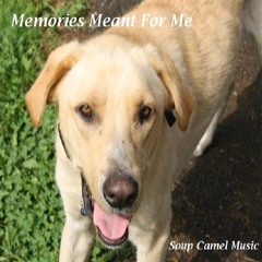 MEMORIES MEANT FOR ME