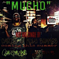 Mucho- Cartel f/ Kulu Snakes