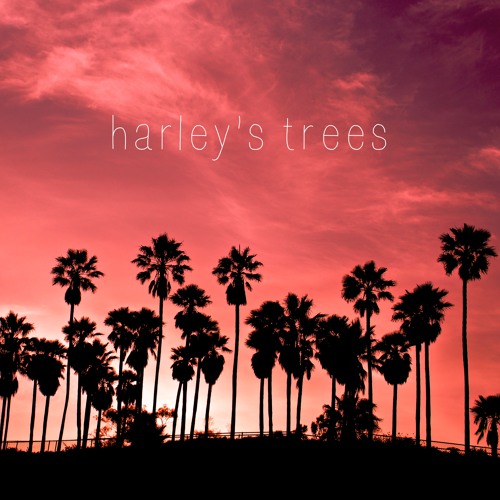 harley's trees (flume & flatbush zombies cover)