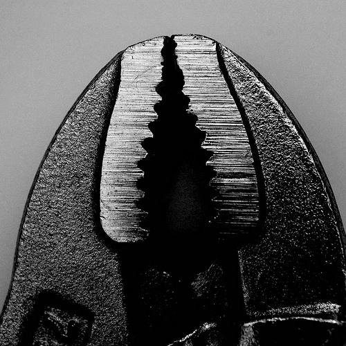 A Little Bit (Ease Up) - GO GO Open Collab With Paploviante and B-Train