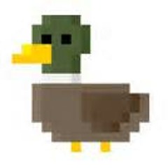 Mating Call Of A Quack Addict