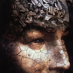 Des-Illusion - pepe l'oazo