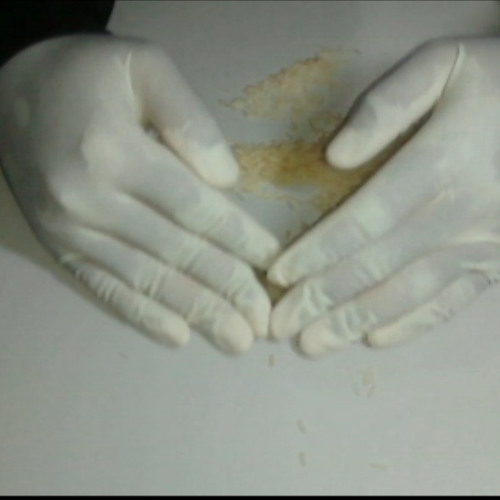 ASMR - No Talking - Scratching And More.