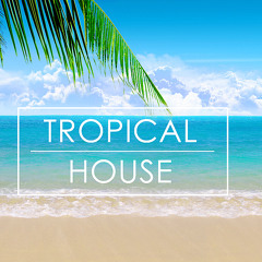 Tiaf - Princesse Love - Wize (Tropical House Remix) Driker System 2015