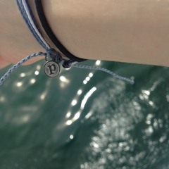 Tee Shirt - Birdy - Beth Young