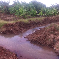 Mwamko Mpya Wa Kilimo Tanariver