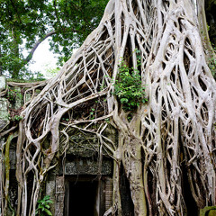 disrepair