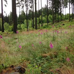 Time - Joëlle Savelkoul