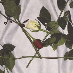 Chain Of Flowers - Crisis (ALT22)