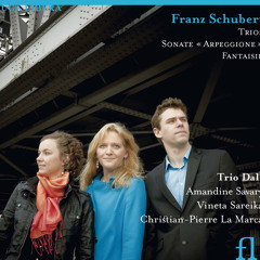 SCHUBERT: Trio No. 2 in Es-Dur, D 929, Op. 100: II. Andante con moto