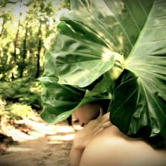 Seu Maia/Triste Bahia