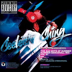 THE BAD BOYZ OF SUMMER VOL#1 (Mix Tape)