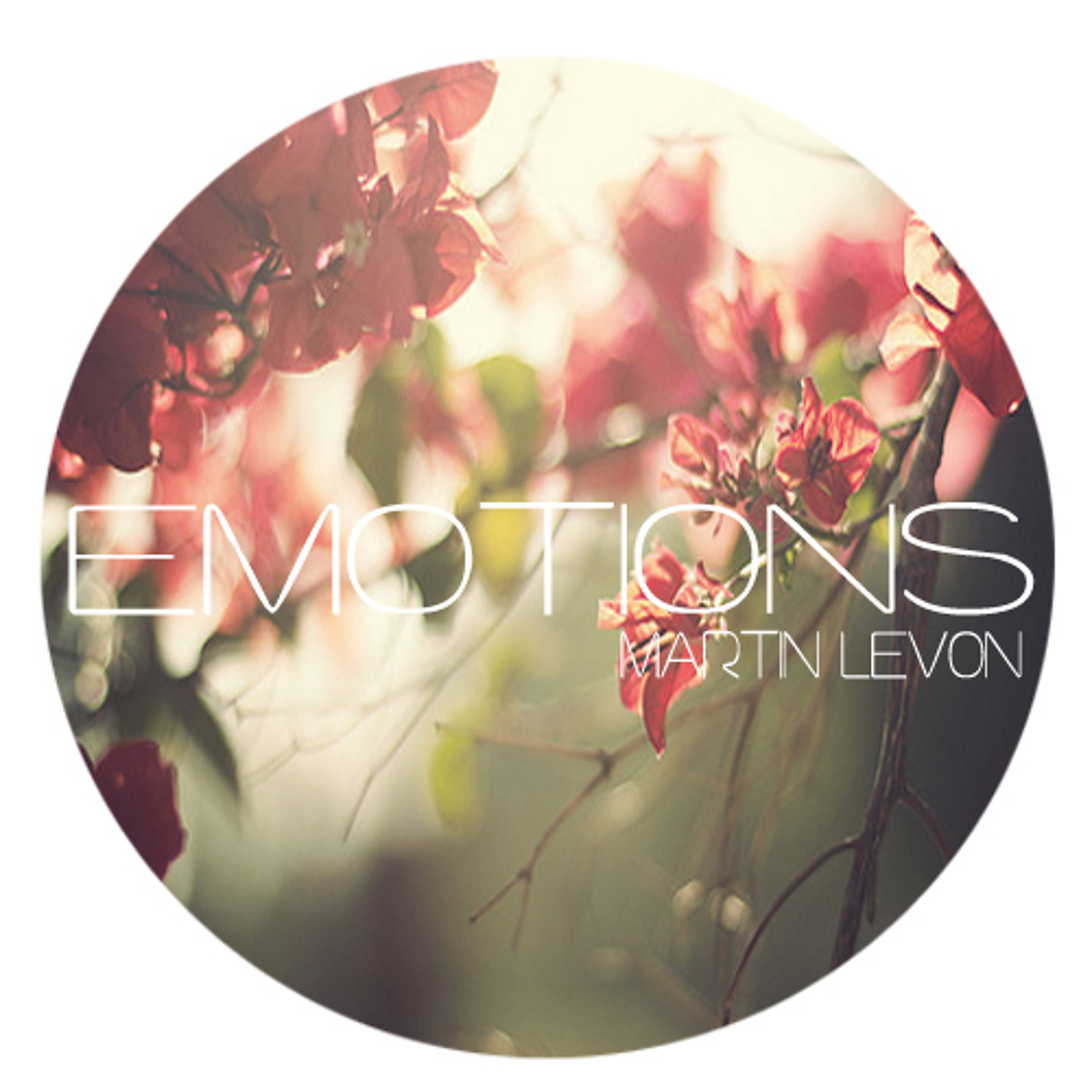 Martin Levon