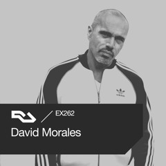EX.262 David Morales