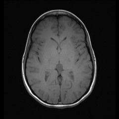 You Didn't Listen Saint Paul