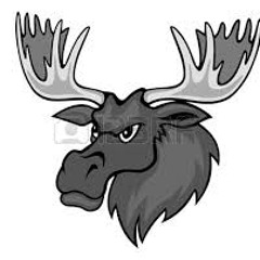 grumpy moose PREVIEW