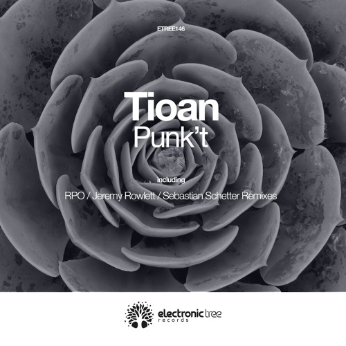 Tioan - Punk't (Jeremy Rowlett Remix)