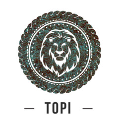 Topi - Step It