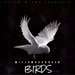 Birds - MillsWasChosen