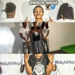 Wildlyfe 1hunnud - So Hard