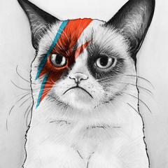 THE BEST mashups , cover & remix