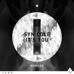 Syn Cole - It's You (Broiler Remix) {PRMD Rewind}