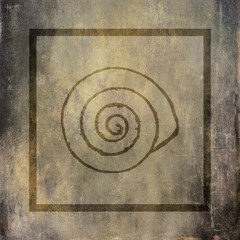 Snail Collectors [EP 1]