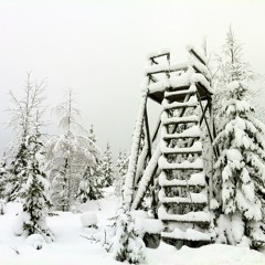 MY MIND IS A GREAT GLASS ELEVATOR