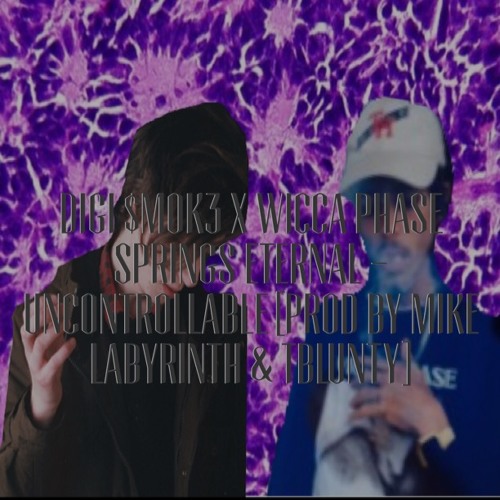 UNCONTROLLABLE [FEAT. WICCA PHASE SPRINGS ETERNAL] (PROD MIKE LABYRINTH X TBLUNTY)