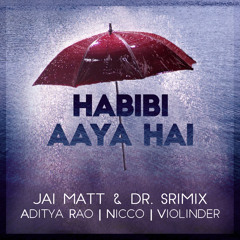 Habibi Aaya Hai - Jai Matt & Dr. Srimix (ft. Aditya Rao, NICCO, & Violinder)