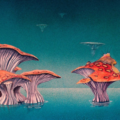 jellyfish [x kawfee]