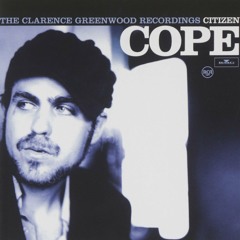 The Clarence Greenwood Recordings