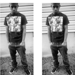 Koncept - Sunny Showpiece