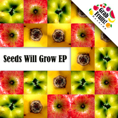 Mad Trakker & Igor Lopez - Dejela Venir [GFR 001 - Seeds will Grow EP]