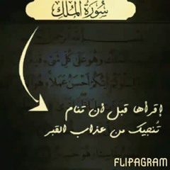 سورة الملك للقارئ حاتم المالكي