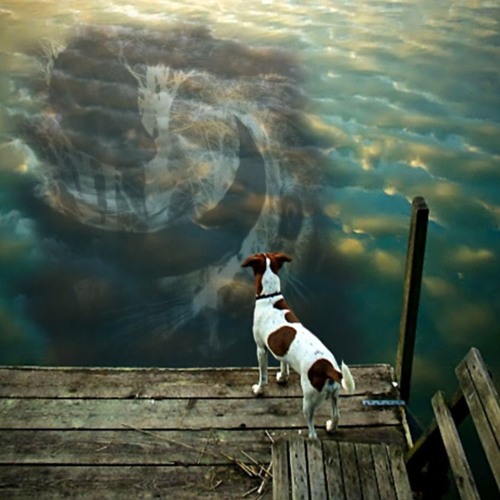 Catfish (Featuring Mighty Joe Young on Vocals)