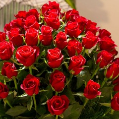 اهو جاى _ افراح اسلاميه