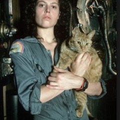 U Got No Flavor Produced by Jacky Paper