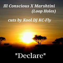 Declare - ILL Conscious X Marshtini (Loop Holes)