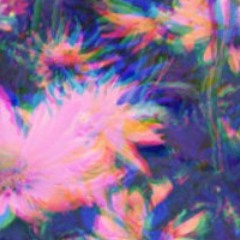 Stuffed - Almighty Hova