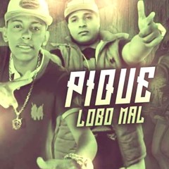Mc LG e Mc Vaguin - Pau Nelas [ VS CENTRAL - DJPALMITO ]